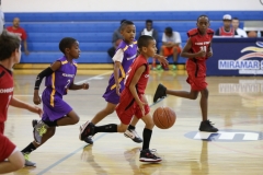 basketball1 basketball1