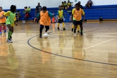 2021 Indoor Soccer